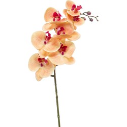 Emerald Kunstbloem Orchidee - 83 cm - zalm kleurig - losse tak - kunst zijdebloem - Phalaenopsis - Kunstbloemen