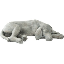 Clayre & Eef Beeld Hond 58x35x15 cm Grijs Polyresin Woonaccessoires