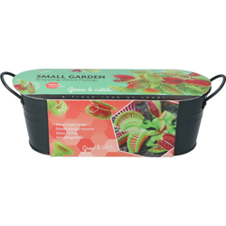 Grow gifts kweekset small garden venus fly trap