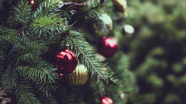 De grappigste ornamenten om in je kerstboom te hangen