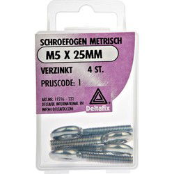 Schroefoog 10x80mm verz
