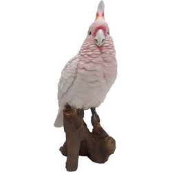Polystone vogel dierenbeeld roze kaketoe 25 cm - Beeldjes