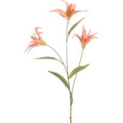 Lily wild spray x3 coral 100 cm Emerald