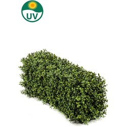 Greenmoods Kunst Buxushaag - Buxus sempervirens - Sterk UV bestendig - 1 Stuk