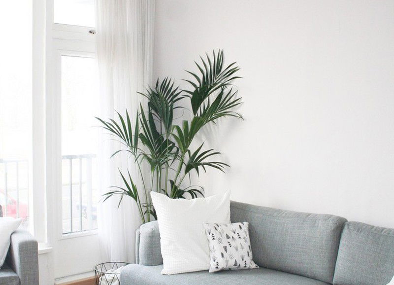 Shop the look: licht Scandinavisch wonen
