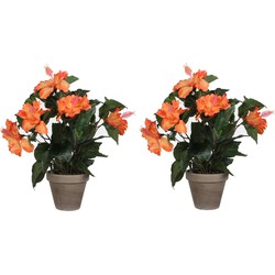 2x stuks hibiscus kunstplanten oranje in grijze pot H40 x D30 cm - Kunstplanten