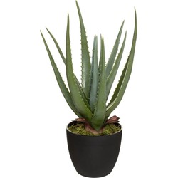 Atmosphera Aloe vera kunstplant in pot van cement 42 cm - Kunstplanten