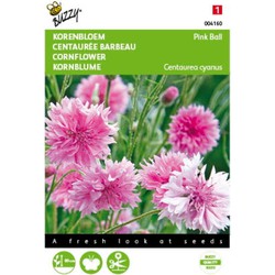 5 stuks - Samen Centaurea Kornblume Rosa Ball - Buzzy