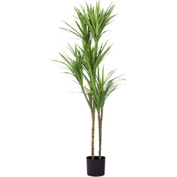 Kunstplant Dracaena Royal 120 cm