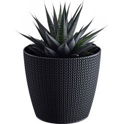 Prosperplast Plantenpot - antraciet - kunststof - D16 x H14 cm - Plantenpotten