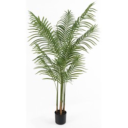 Present Time - Kunstplant Kwai Tree - Groen