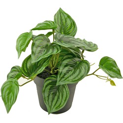 Kunstplant Watermeloen 25 cm | NeverLeafs