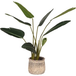 LABEL51 Strelitzia - Groen - Kunststof - 100 cm