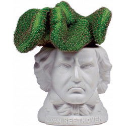 UPG Planter - Ludwig von Beethoven