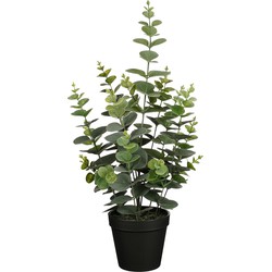 Mica Decorations Eucalyptus Kunstplant in Bloempot - H53 x Ø23 cm - Groen