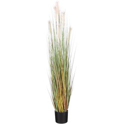 Mica Decorations Pluimgras Foxtail Kunstplant - H150xØ70 cm - Crème