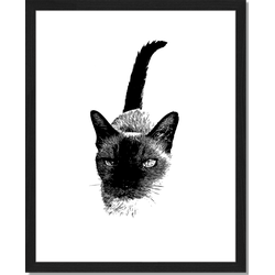 Black Cat - Fotoprint in houten frame - 40 X 50 X 2,5 cm
