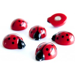 Trendform Magneet Lieveheersbeestje - set van 6 stuks