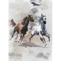 Komar fotobehang Wild Ride grijs en bruin - 200 x 280 cm - 610839