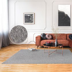 Laagpolig Vloerkleed Barnova Gemeleerd - Grijs - 240x330 cm