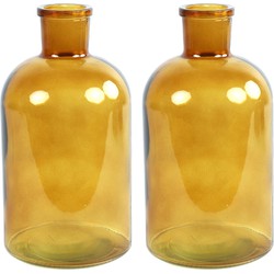 Countryfield vaas - 2x stuks - goudgeel - glas - fles - D14 x H27 cm - Vazen