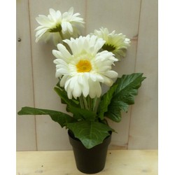 Kunstgerbera wit in pot 25 cm - Warentuin Mix