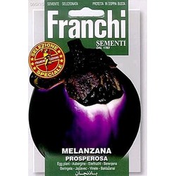 Aubergine, Melanzana Prosperosa 90/15 - Franchi