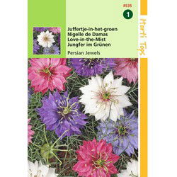 2 stuks - 