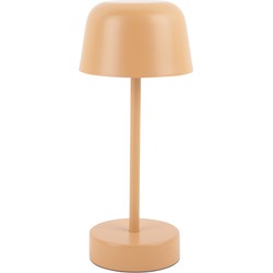 Table Lamp Brio LED