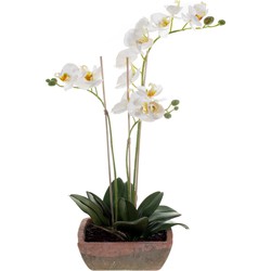 Witte orchidee kunstplant in terracotta pot 50 cm - Kunstplanten