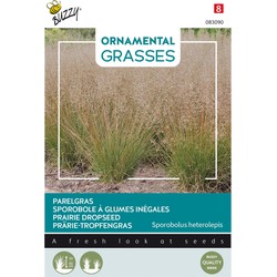 Ornamental Grasses, Sporobolus heterolepis
