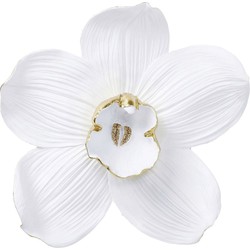 Kare Wanddeco Orchidee White 54 cm