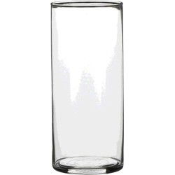 Mica Decorations Vaas - cilinder - helder - glas - 9 x 19 cm - Vazen
