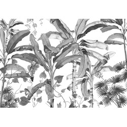 Sanders & Sanders fotobehang jungle zwart wit - 400 x 280 cm - 612077