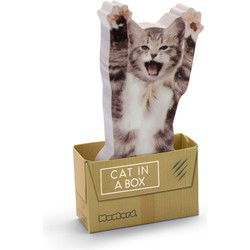 Mosterd Kat In Een Doos