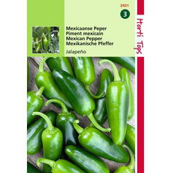 5 stuks - Peper Jalapeno Mexicaanse
