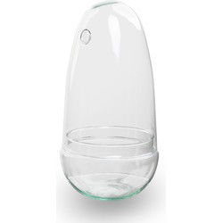 URBANJNGL - Ei - Glazen bol - Stolp - Terrarium ↑ 25,5 cm