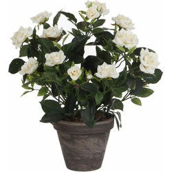 Mica Decorations Kunstplant - rozen - wit - in grijze pot - 33 cm - Kunstplanten