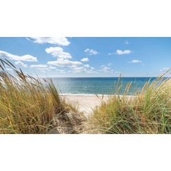 Strand duinen 130x70cm Tuinschilderij