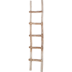 Ladder Montendre - massief eucalyptushout, Eva Padberg Collection