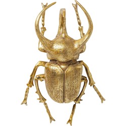 Kare Wanddecoratie Atlas Beetle Gold