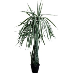 Kunstplant Dragon Tree 155cm