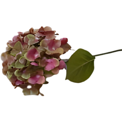 Kunst hortensia tak groen roze 62 cm