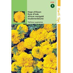 2 stuks - 
