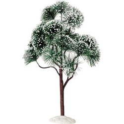 Mountain pine extra large - LEMAX