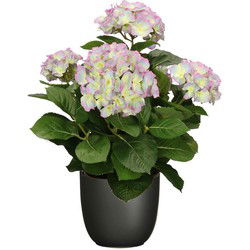 Hortensia kunstplant/kunstbloemen 45 cm - paars/groen - in pot zwart mat - Kunstplanten