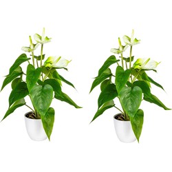 Kopu® 2 stuks Anthurium Wit Kunstplant 40 cm - Flamingoplant Wit