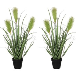 2x stuks riet grasplant kunstplanten groen in kunststof pot H53 x D30 cm - Kunstplanten