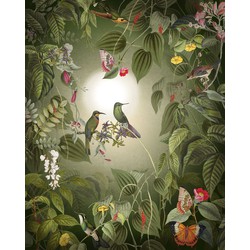 Komar fotobehang Wildlife Birds groen - 200 x 250 cm - 610009
