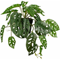 Mica Decorations Kunstplant Monstera - 40x26x23 cm - foam - Groen